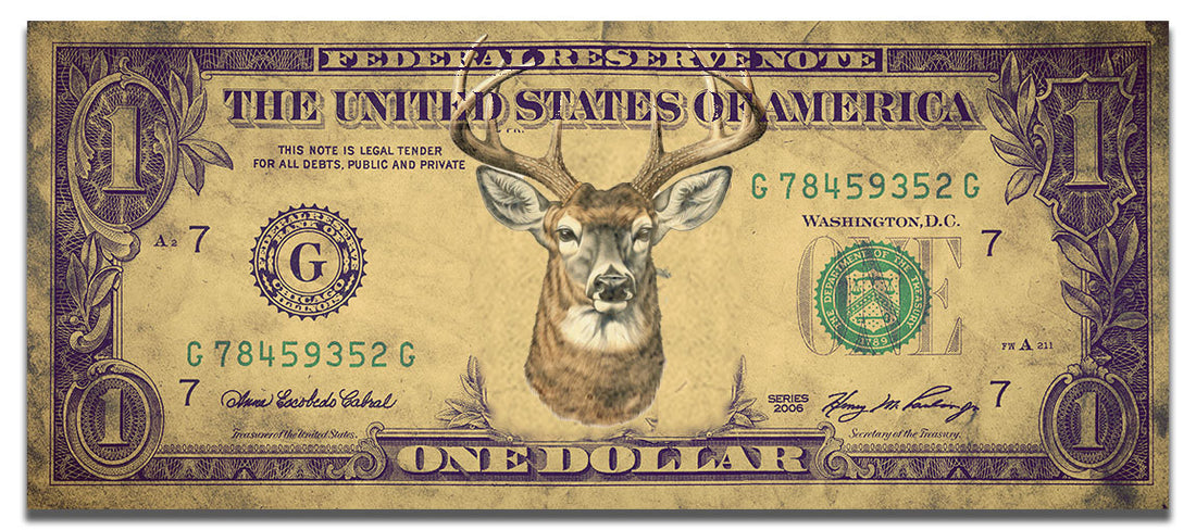 Why in the Wild Do We Call a Male Deer a Buck?