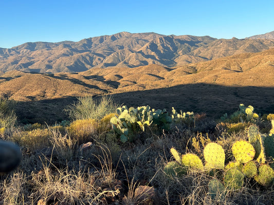 Laughs, Gusts, and Dust: My Mule Deer Muzzleloader Hunt in Arizona